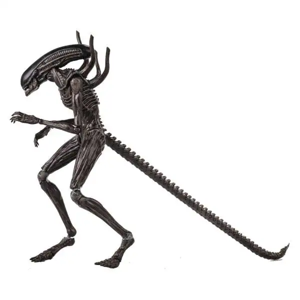 xenomorph drone coloring pages