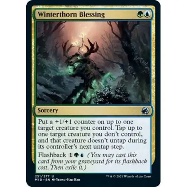MtG Trading Card Game Innistrad: Midnight Hunt Uncommon Winterthorn Blessing #251