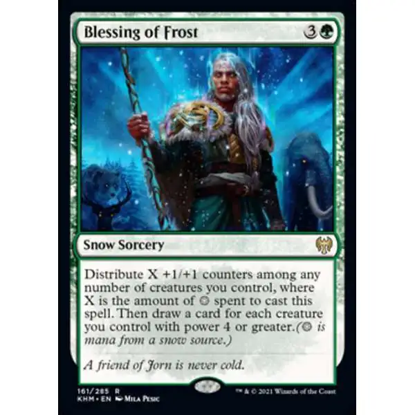 MtG Trading Card Game Kaldheim Rare Blessing of Frost #161