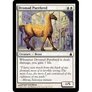 MtG Trading Card Game Ravnica: City of Guilds Common FOIL Dromad Purebred #15