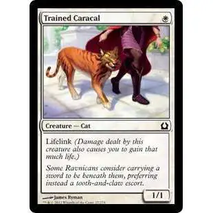 MtG Trading Card Game Return to Ravnica Common Trained Caracal #27