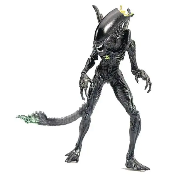 AVP Alien vs. Predator Xenomorph Alien Warrior Exclusive Action Figure [Blownout]