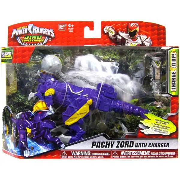 pachyzordpurple.webp