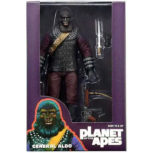 planetapesaldo.webp