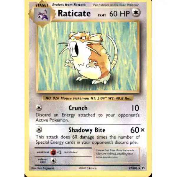 Pokemon X & Y Evolutions Rare Raticate #67