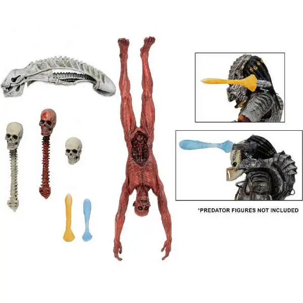 predatordeluxeaccessorypack.webp