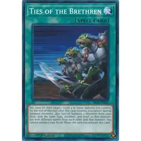 YuGiOh Mechanized Madness Structure Deck Common Ties of the Brethren SR10-EN030