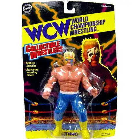 WWE Wrestling WCW Collectible Wrestlers Sting Action Figure [Damaged Package]
