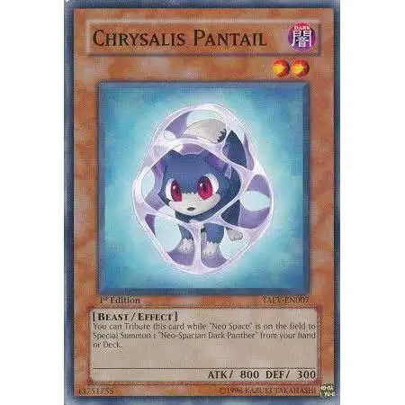 YuGiOh GX Trading Card Game Tactical Evolution Common Chrysalis Pantail TAEV-EN007
