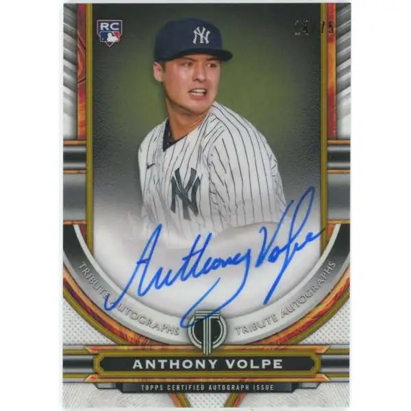 MLB New York Yankees 2023 Series 2 Baseball Single Card Anthony