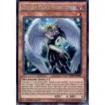 dark angel yugioh card Yu-Gi-Oh! Destiny Hero - - SGX1-ENB09 - Common Card Gallery:Destiny HERO - Dark