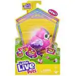 Little Live Pets Lil Bird Candi Sweet Figure Moose Toys - ToyWiz