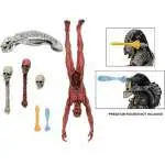 PREDATOR ACCESSORY PACK フィギュア用アクセサリー predatordeluxeaccessorypack.webp